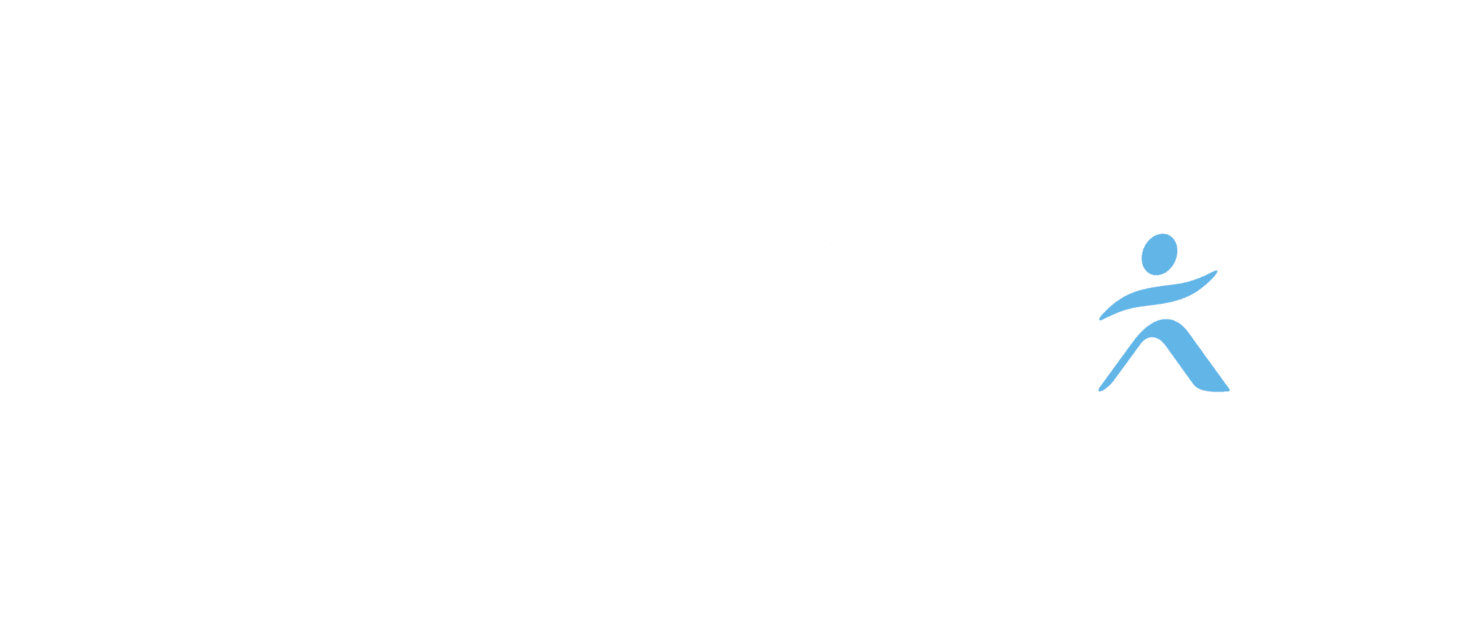 Ile de France Mobilités